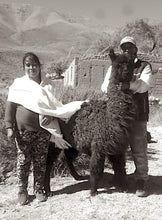 Load image into Gallery viewer, Tan & White Perdiz Wool Blanket